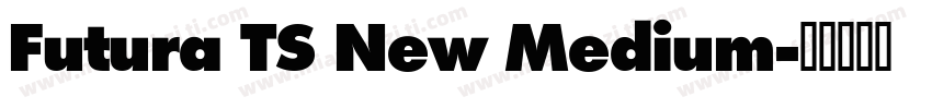 Futura TS New Medium字体转换